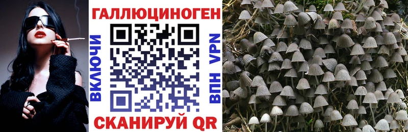 Галлюциногенные грибы мухоморы  Купить  Горбатов 